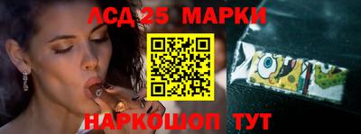 прущие крисы Будённовск