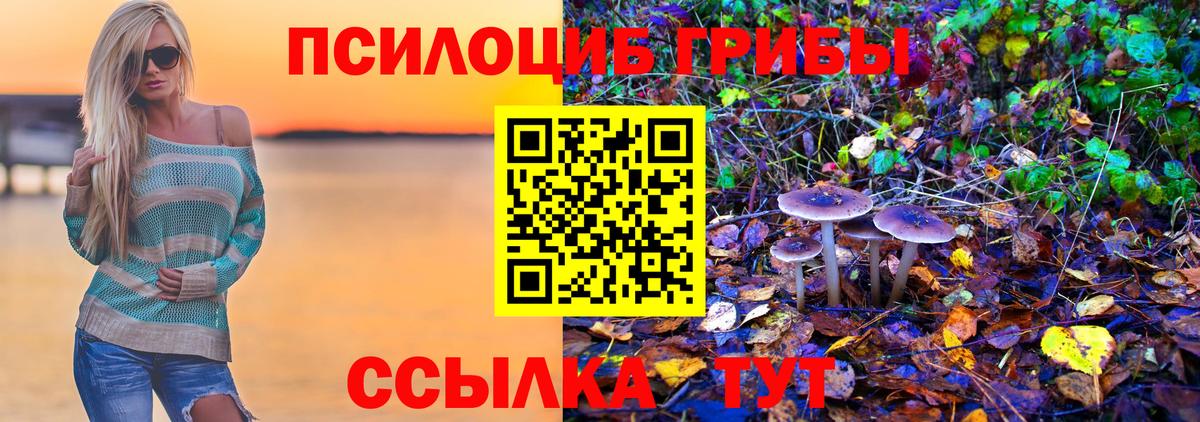 Арсеньев  Галлюциногенные грибы MAGIC MUSHROOMS  Вход с VPN 